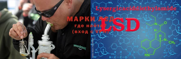 крисы Пересвет