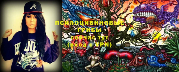 крисы Пересвет